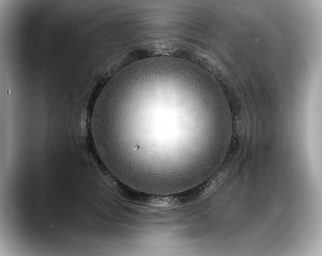X0000088750757200705311511