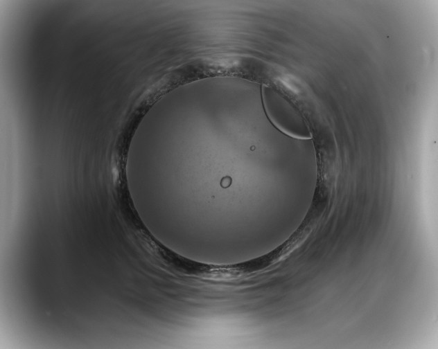 X0000088750758200705311511