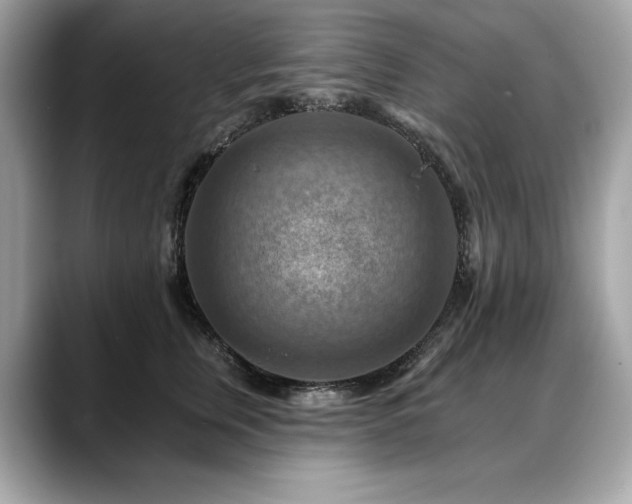 X0000088750759200705311511