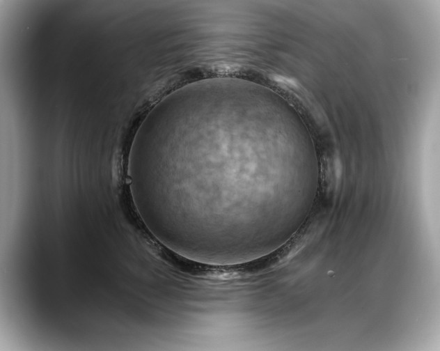 X0000088750760200705311511