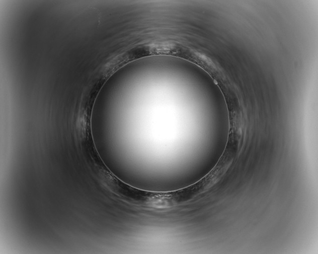 X0000088750761200705311512