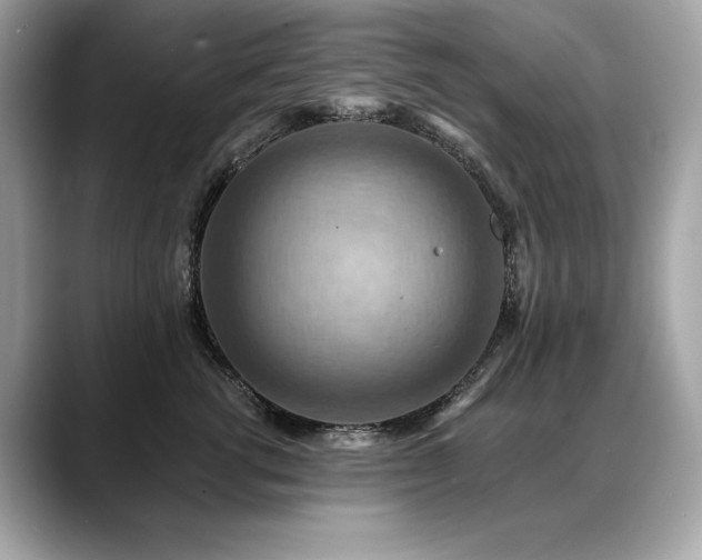 X0000088750762200705311512