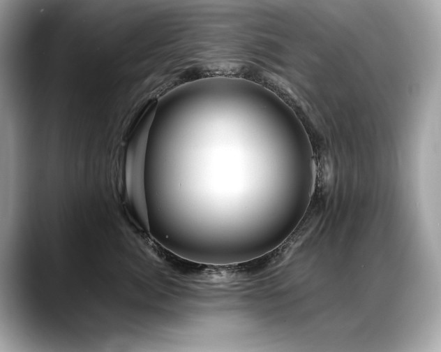 X0000088750764200705311512