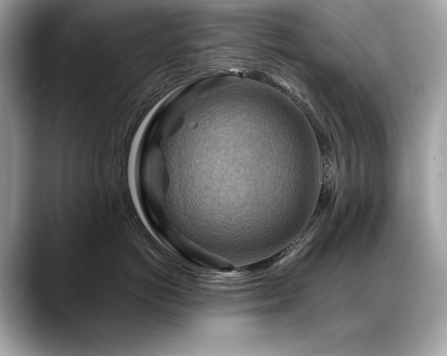 X0000088750766200705311512