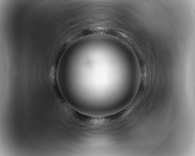 X0000088750767200705311512