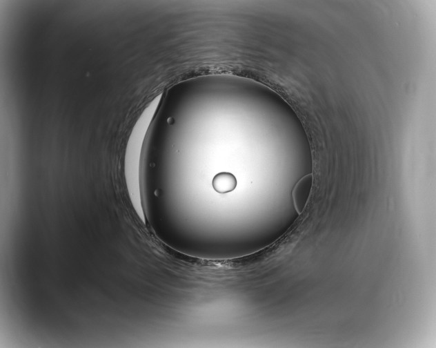 X0000088750768200705311512