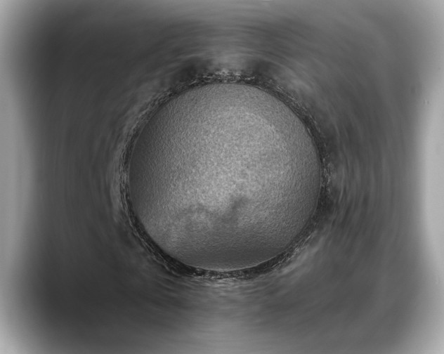 X0000088750769200705311511