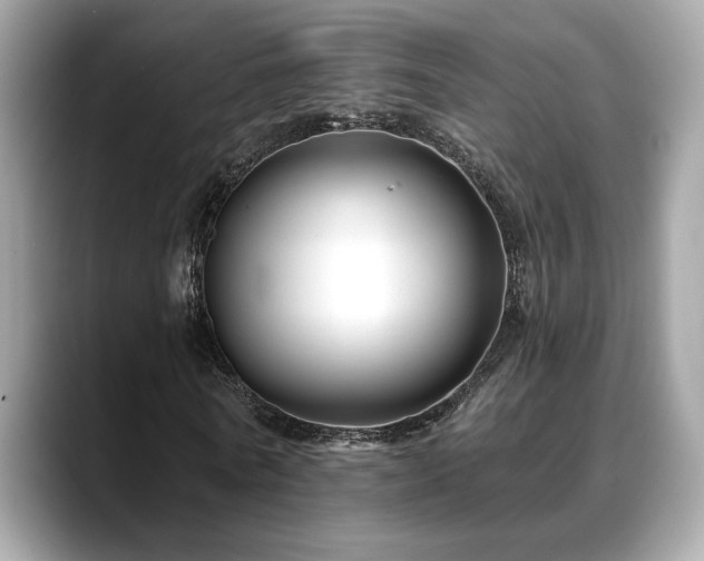 X0000088750770200705311511