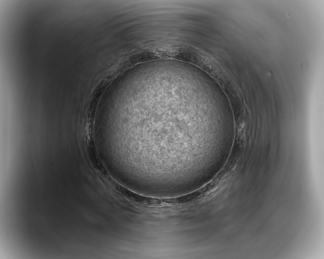 X0000088750772200705311511