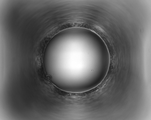X0000088750774200705311511
