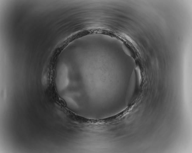X0000088750775200705311511