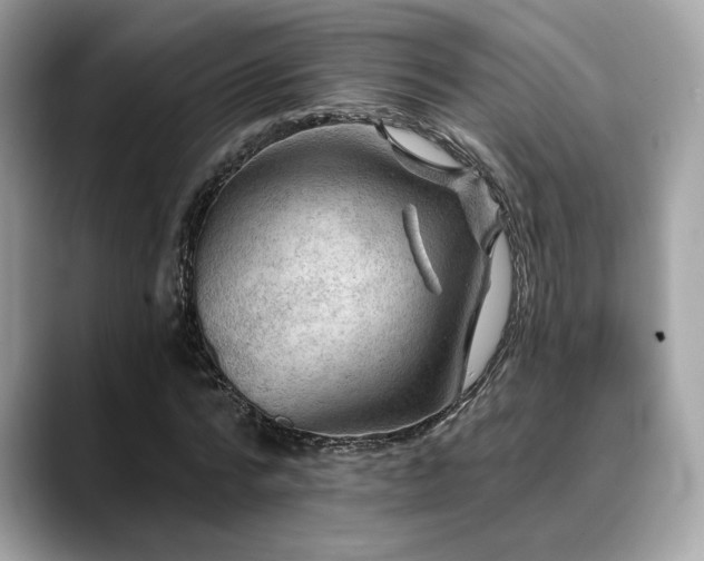 X0000088750776200705311511