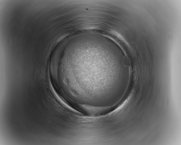 X0000088750777200705311511