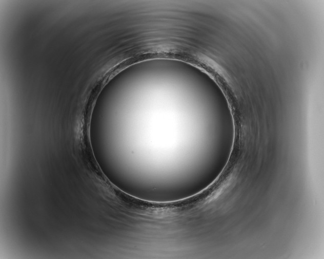 X0000088750778200705311511