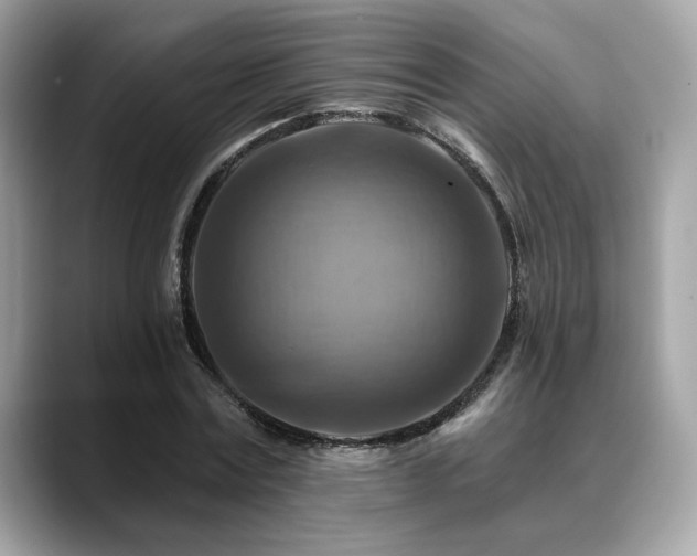 X0000088750779200705311511