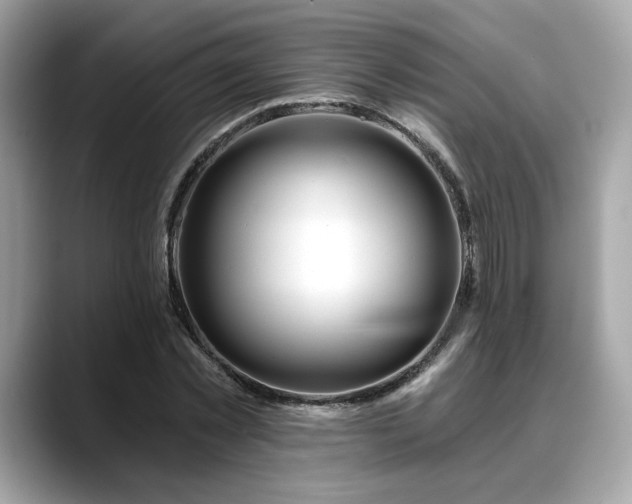 X0000088750781200705311511