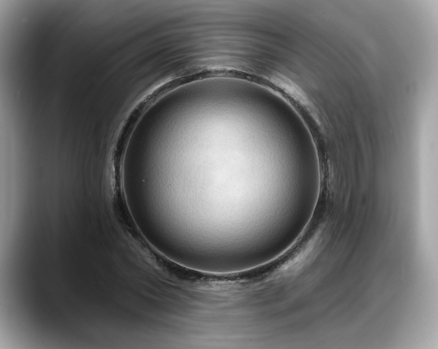 X0000088750782200705311511