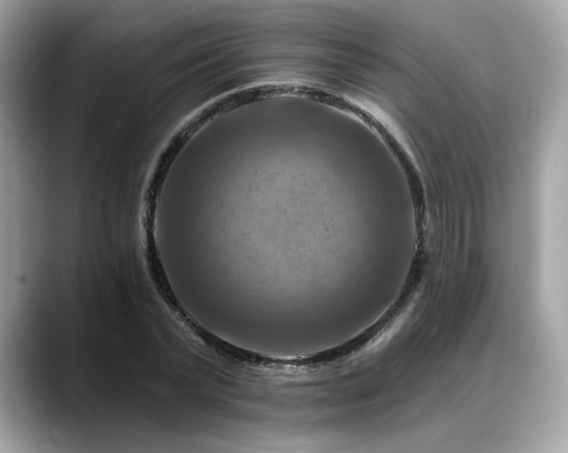 X0000088750783200705311511