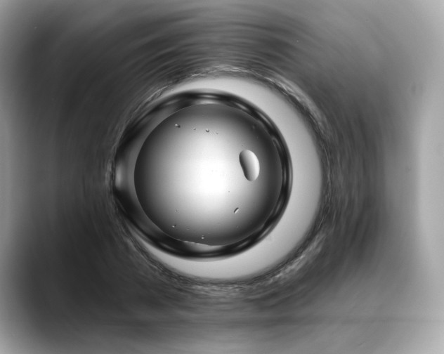 X0000088750785200705311511