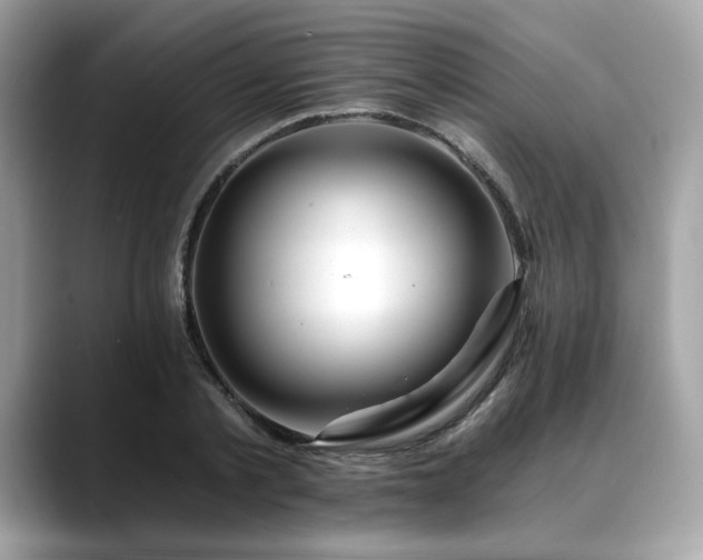 X0000088750789200705311511