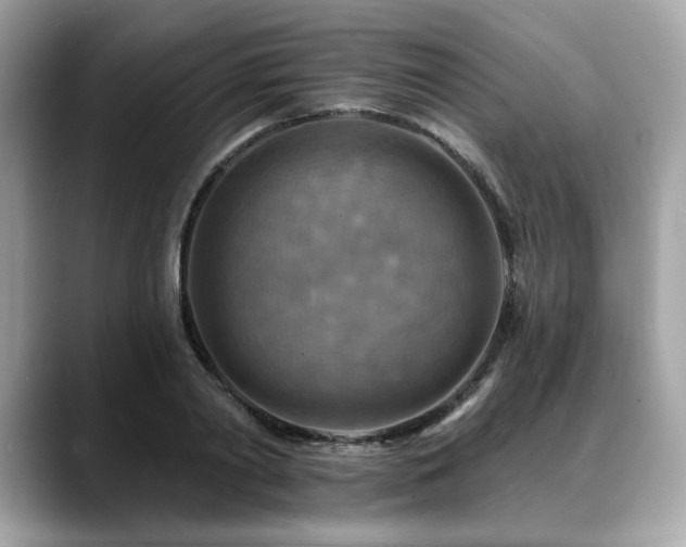 X0000088750790200705311511
