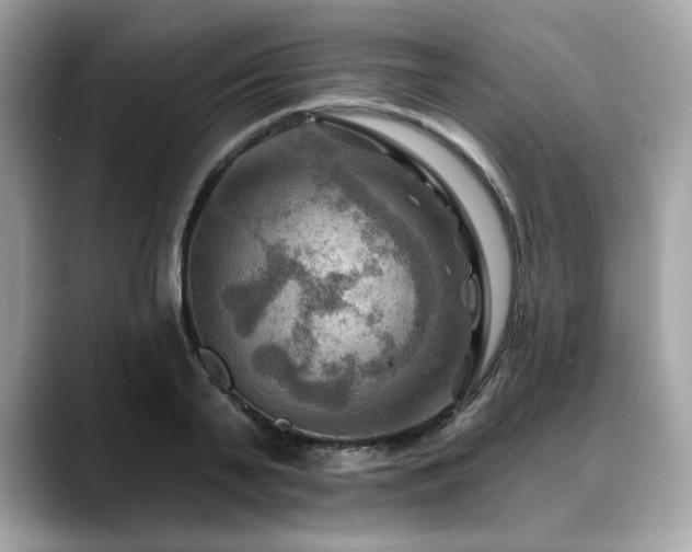 X0000088750791200705311511