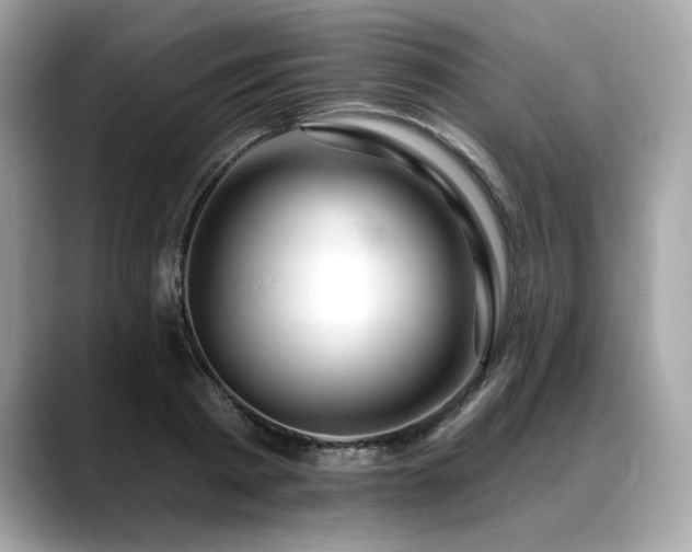 X0000088750793200705311511
