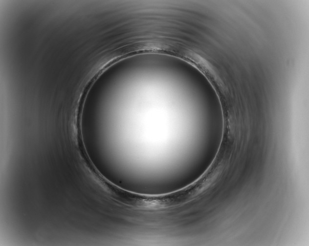 X0000088750794200705311511