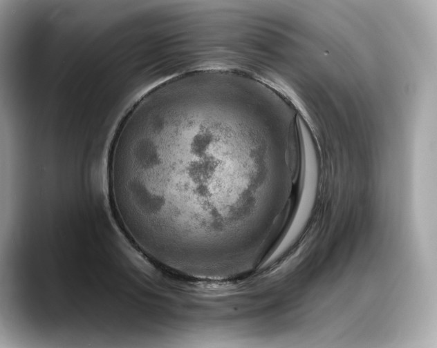 X0000088750795200705311511