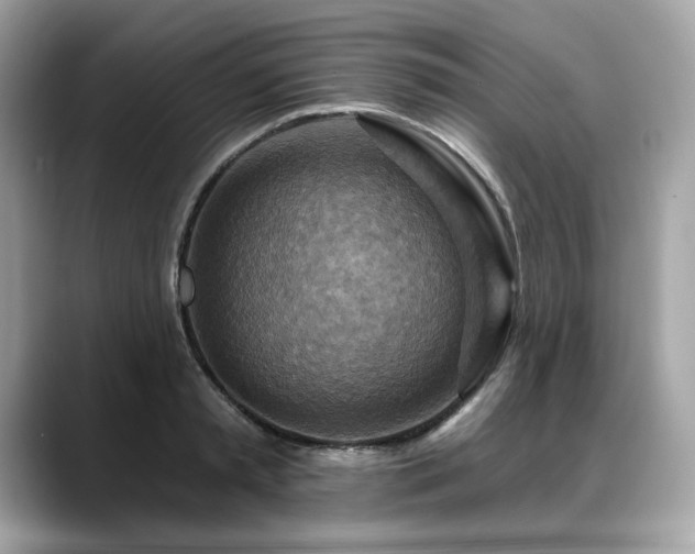 X0000088750797200705311511