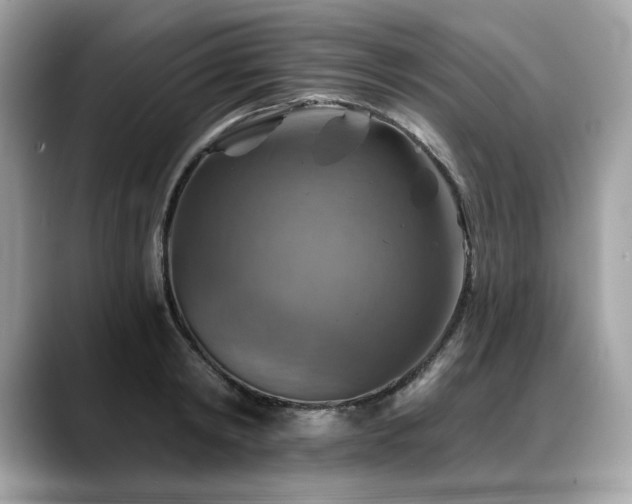 X0000088750798200705311511