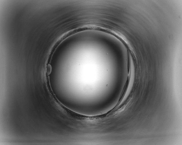 X0000088750799200705311511