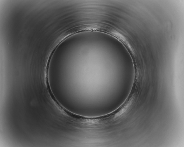 X0000088750802200705311511