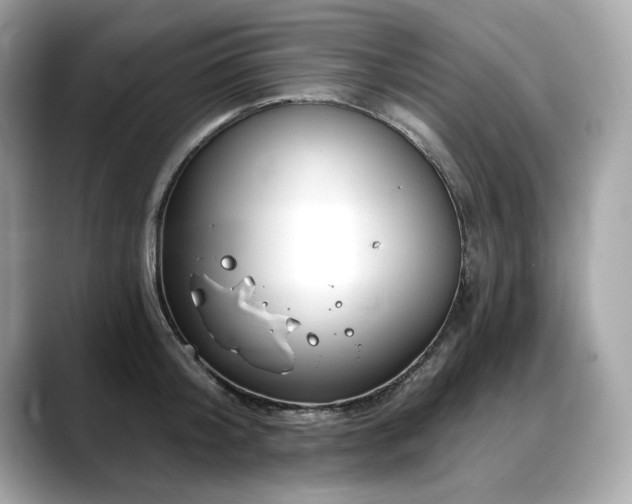 X0000088750804200705311511