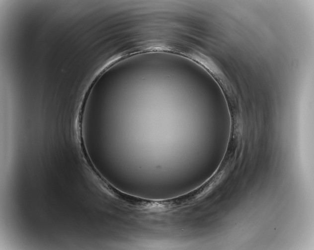 X0000088750806200705311511