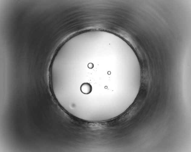 X0000088750807200705311511