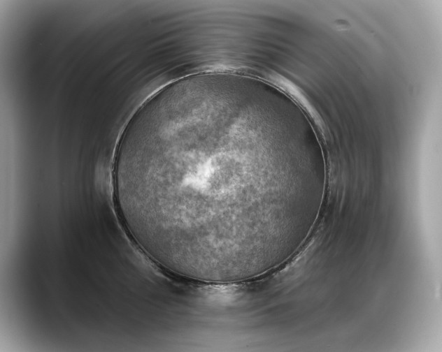 X0000088750810200705311511