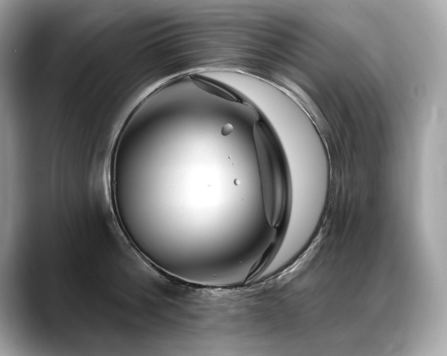 X0000088750812200705311511