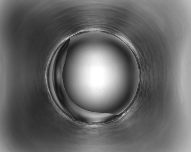 X0000088750813200705311511