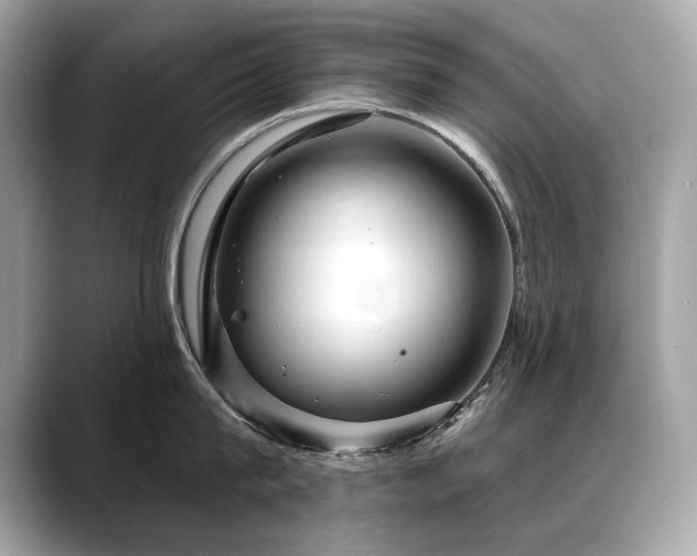 X0000088750815200705311510