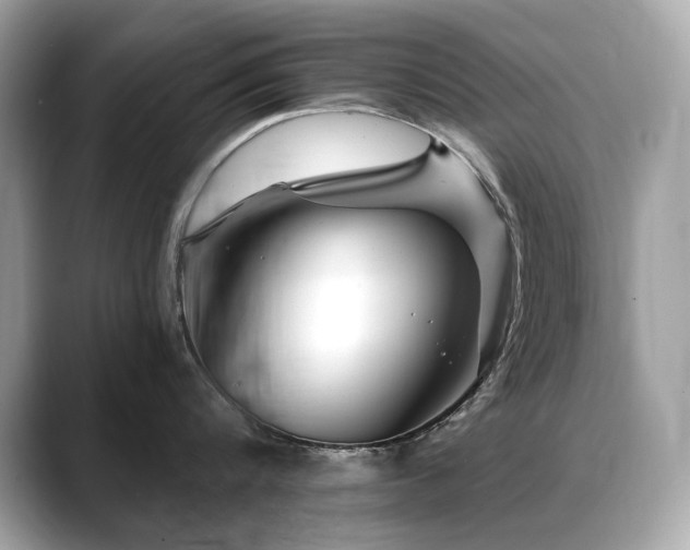 X0000088750816200705311510