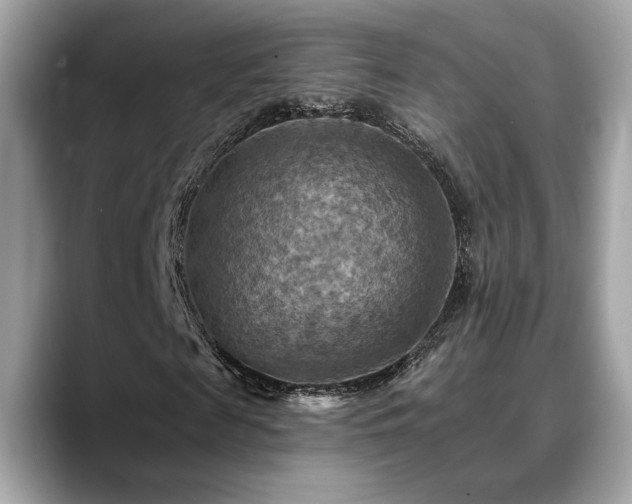 X0000088750817200705311510