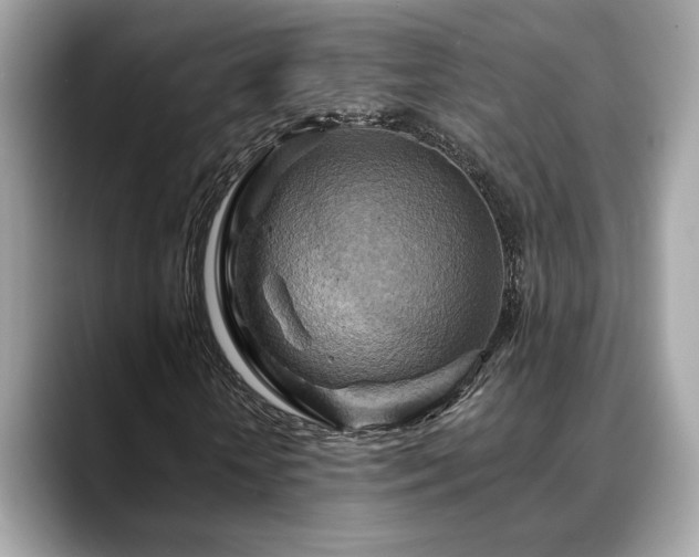 X0000088750818200705311510