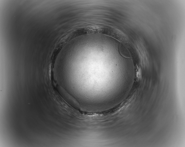 X0000088750819200705311510