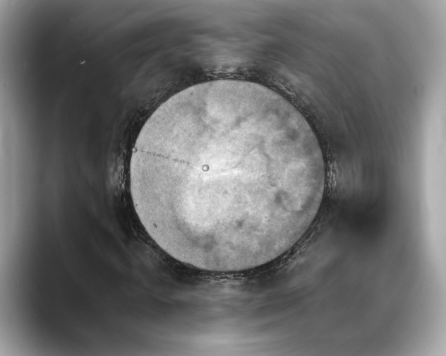 X0000088750820200705311510