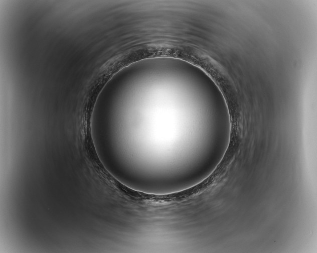 X0000088750821200705311510