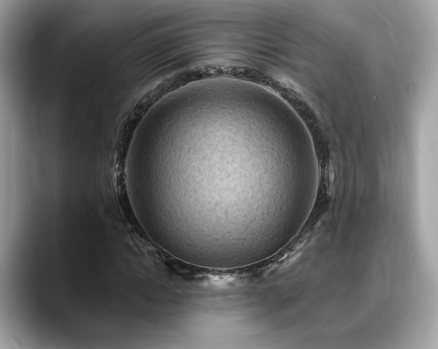 X0000088750822200705311510