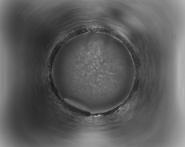 X0000088750823200705311510