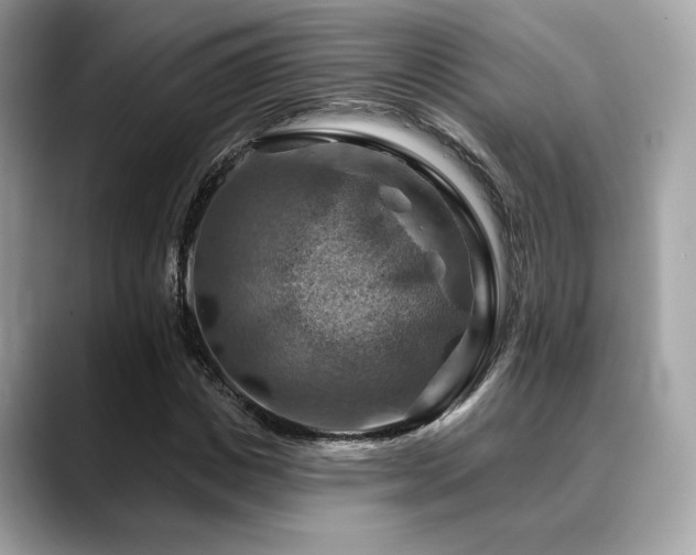 X0000088750825200705311510