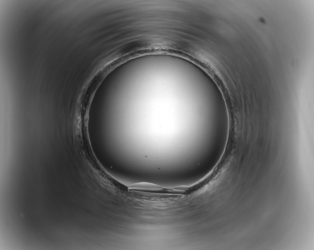 X0000088750827200705311510